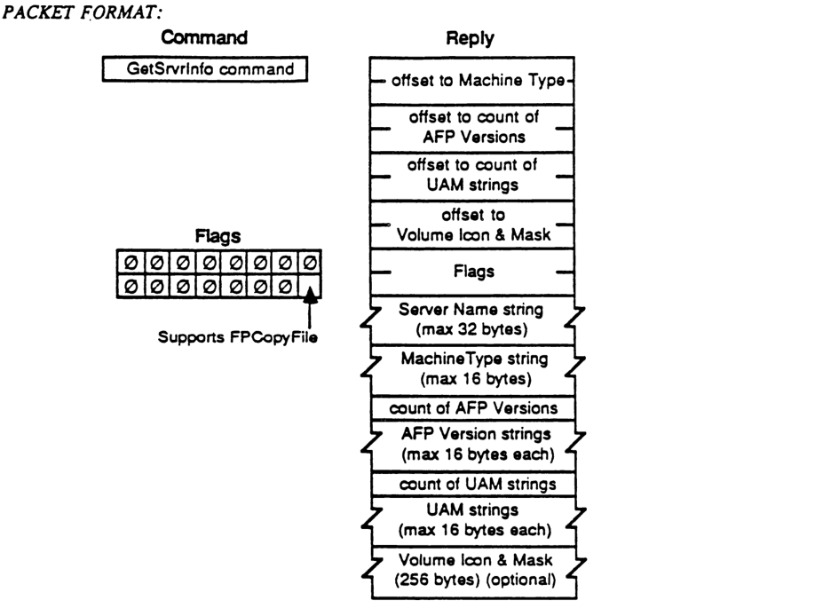 GetSrvrInfo command and reply packet format