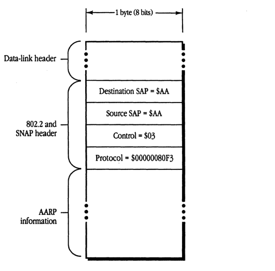 AARP packet format including 802.2 and SNAP headers