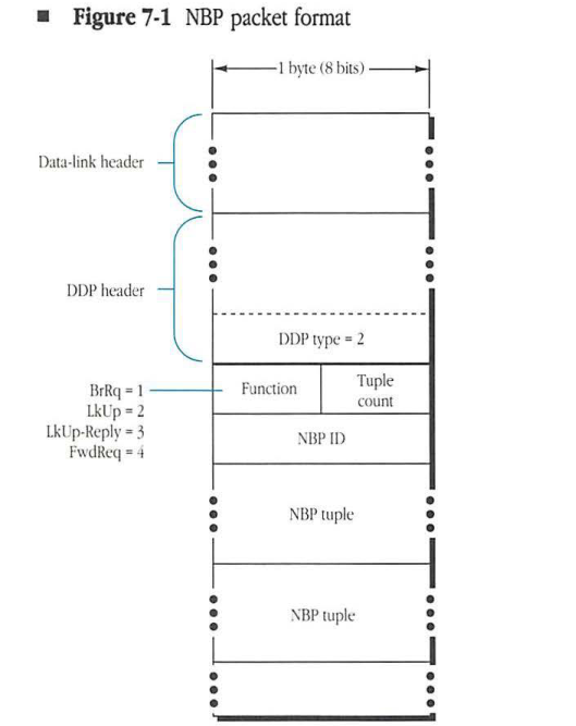NBP packet format diagram showing encapsulation from data-link header to NBP tuples.