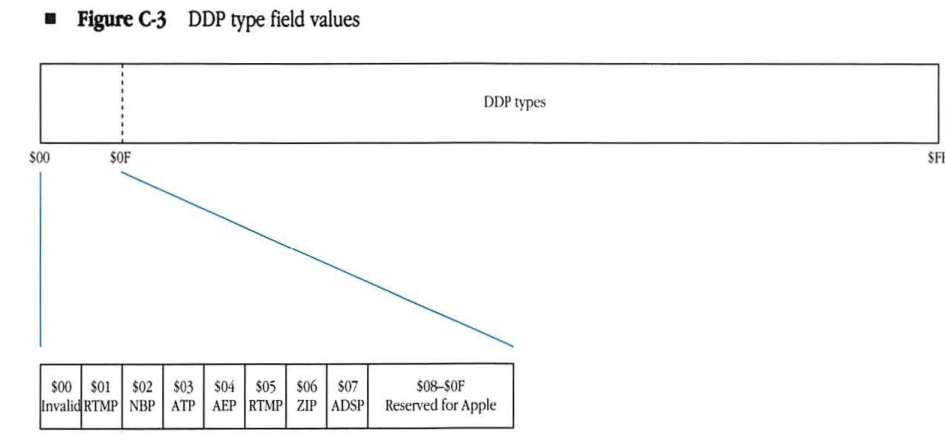 DDP type field values