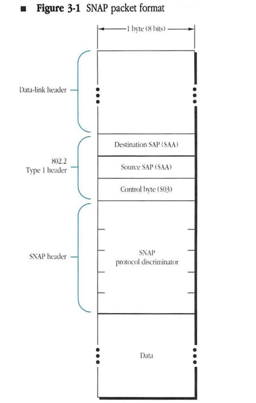 SNAP packet format